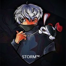 STORM_ofiacial avatar