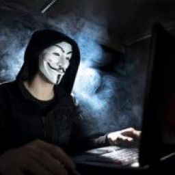 Anonymous1620220444 avatar