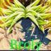 broly_157