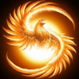 phoenix70 avatar
