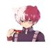 shoto23gamer avatar