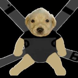 JotchuaBabyDog avatar