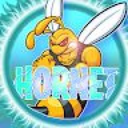 x_hornet_x avatar