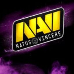 navifonsk1s_predatorfreeru avatar