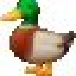 DuckNr1 avatar